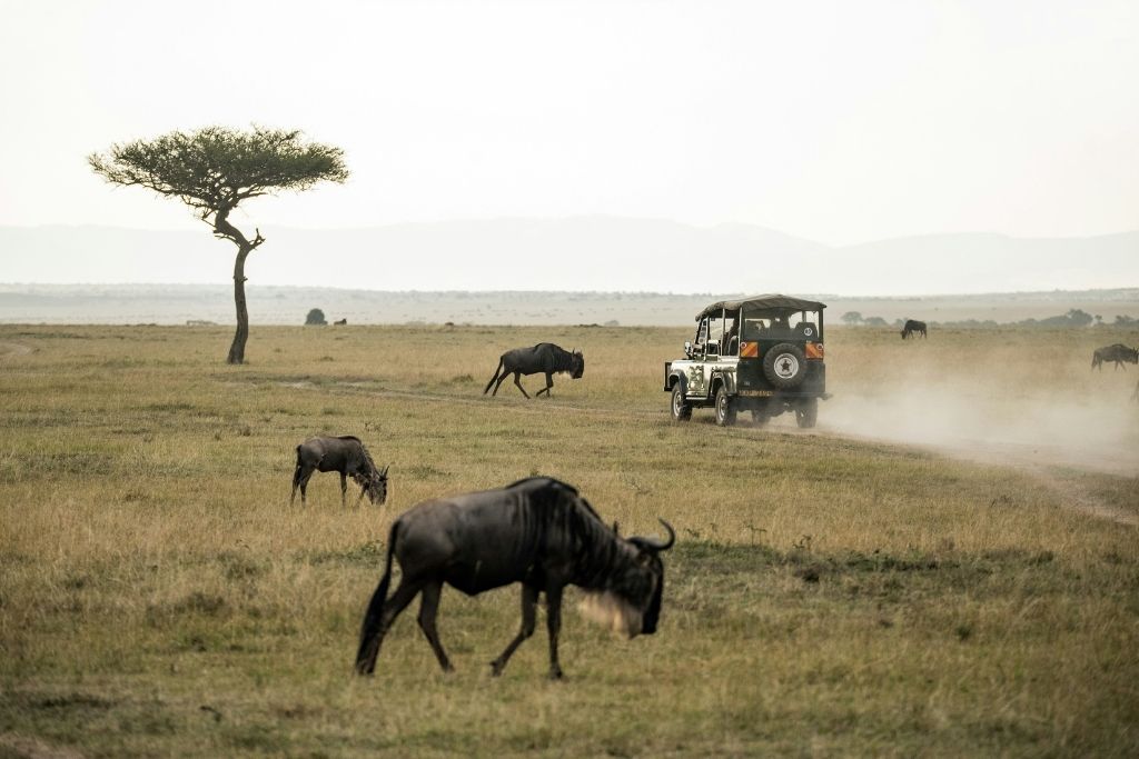 Maasai Mara